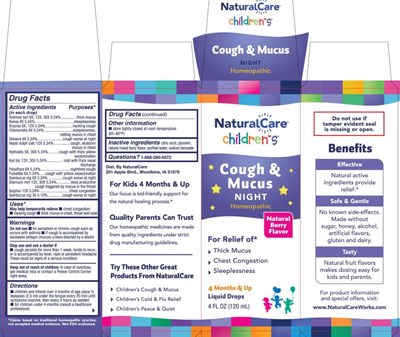Cough &amp; Mucus  Night Ctn (Naca0004 Cough   Mucus Night Ctncpy 05 16 25)